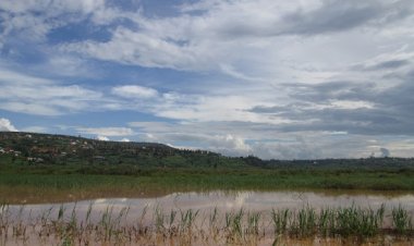 Fioretti de saint Jean Bosco # 14