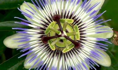 RETRAITE avec P. Jacques Decollonge