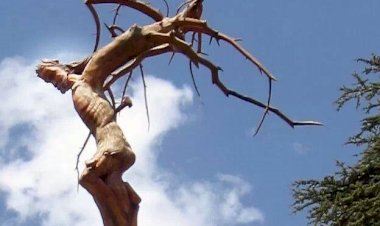 Dix versets bibliques pour demander pardon et pardonner