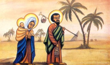 SAFCAM Communique #29  (English)