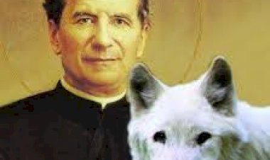 Fioretti de saint Jean Bosco # 38