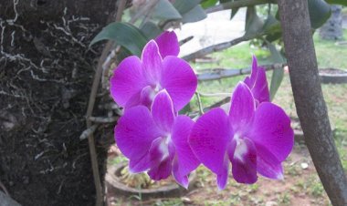 Fais de nous, Seigneur, des hommes de réconciliation