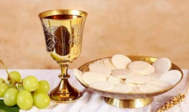 SAFCAM Communique #55 - English