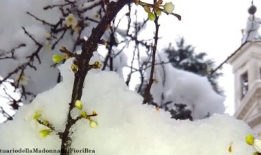 Mystery of the Madonna of Bra
