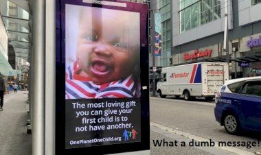 Why a generation is choosing to be child-free