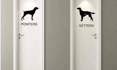 Should we fully endorse the 2030 Sustainable Development Goal on Gender Equality ?