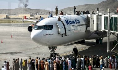 SAFCAM Communique #65 - English