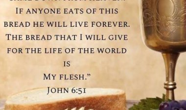 The Solemnity of the Most Holy Body and Blood of Christ