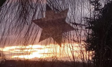 SAFCAM NEWSLETTER - n. 15